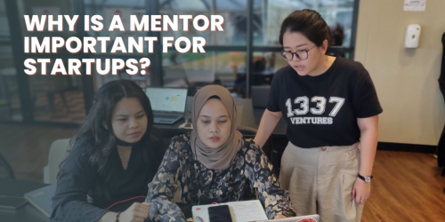 Why is a Mentor important for startups